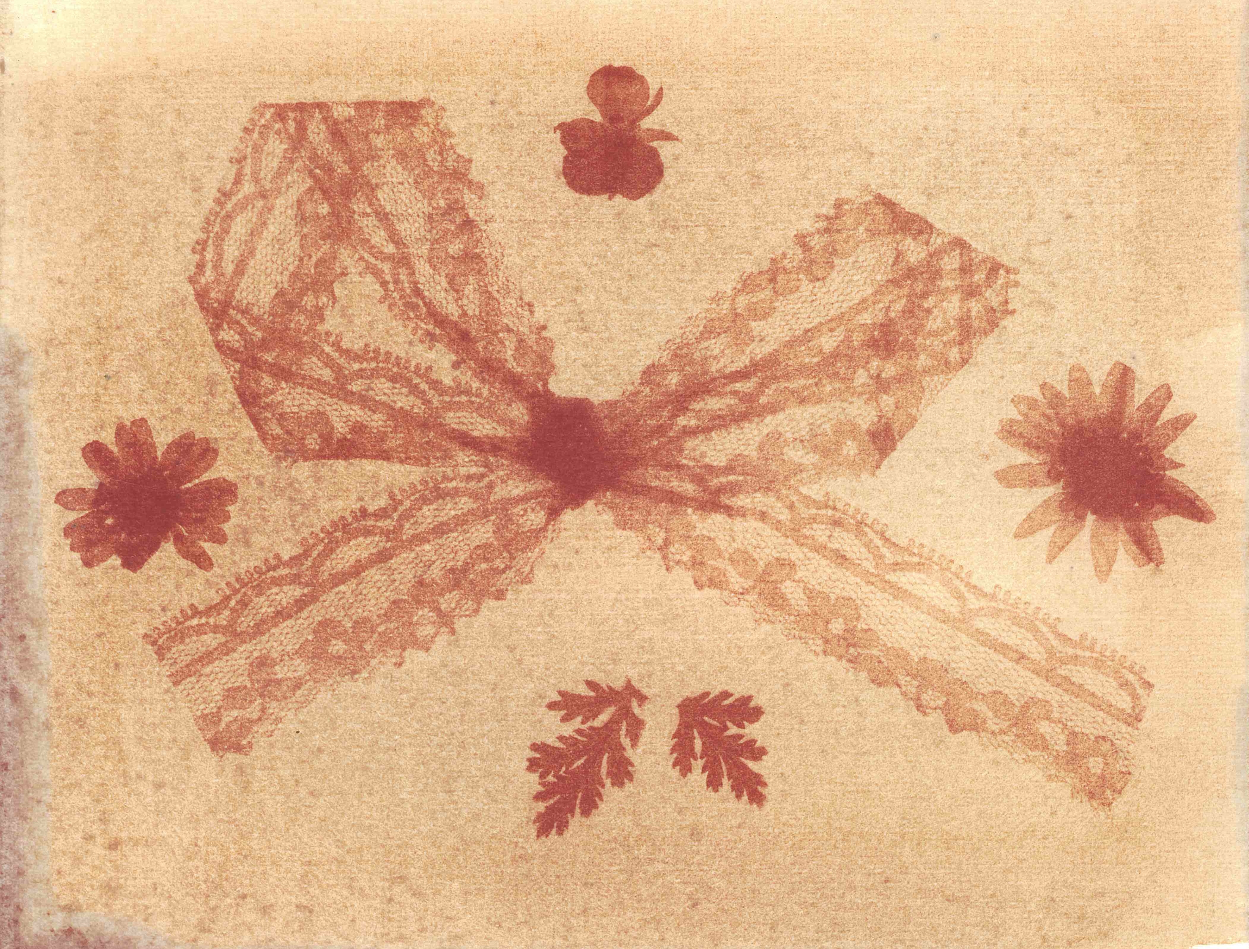 Anthotypes