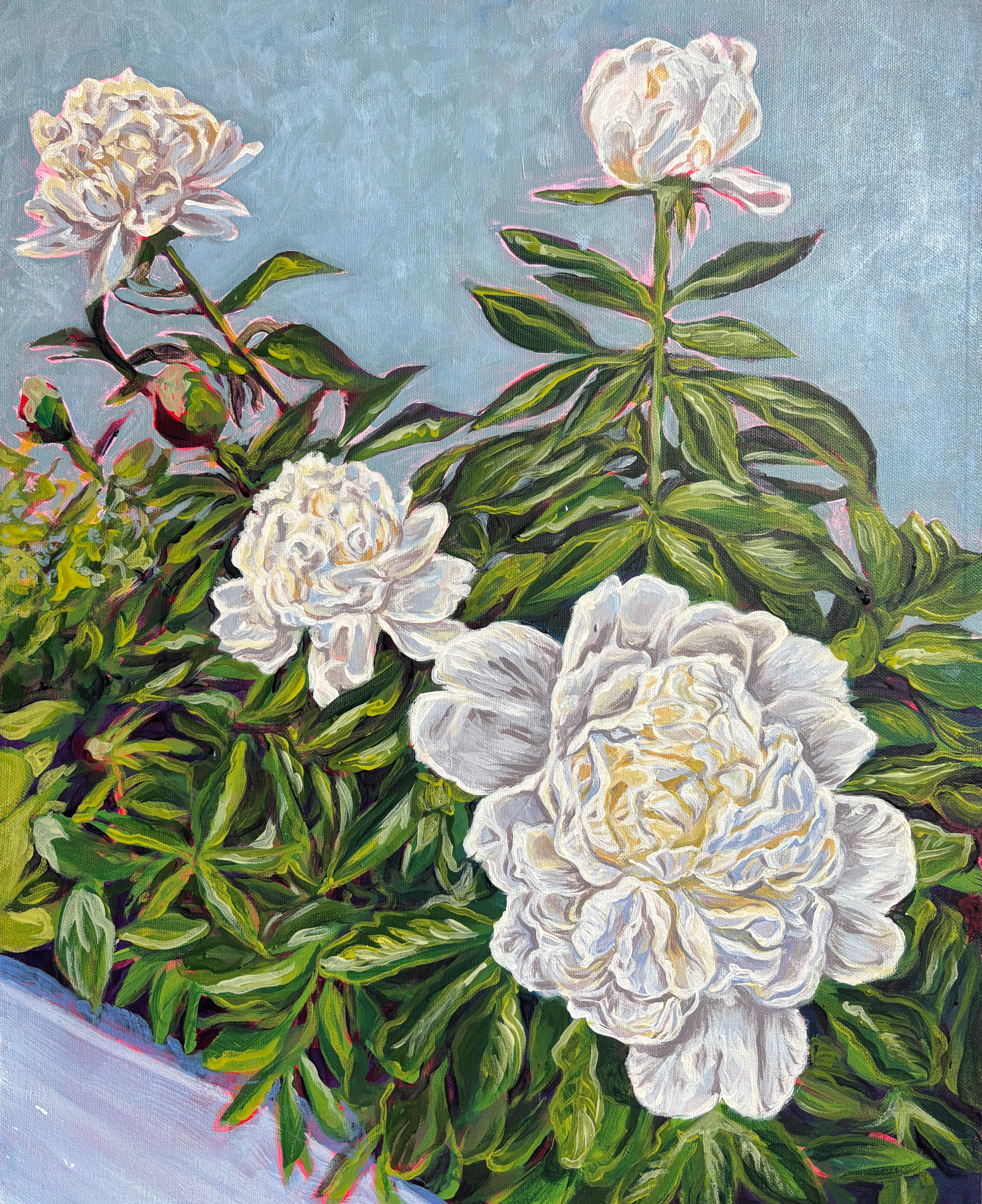 Peonies